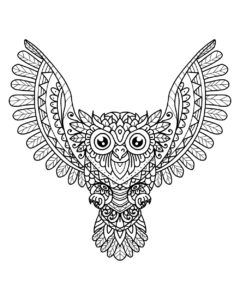 owls mandala