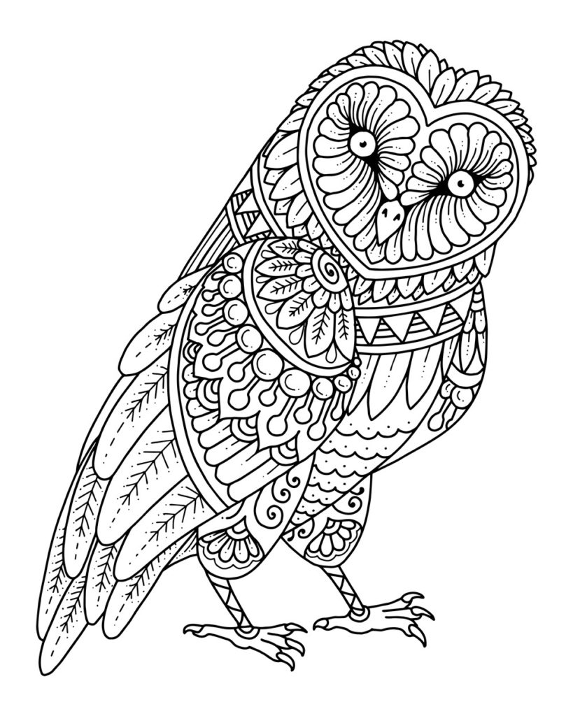 owls mandala